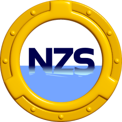 NZS logo N rgb 02